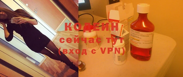 индика Баксан
