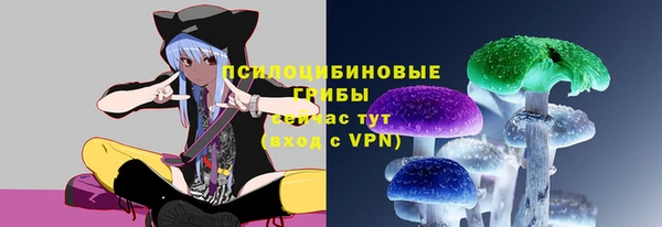 индика Баксан